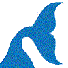 wobbly whale